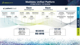 임상 기술 혁신의 역사 메디데이터, 글로벌 표준이 되다