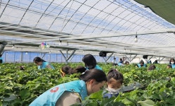 건보공단, 서원주마을 초등 저학년 봄맞이 현장체험학습 지원