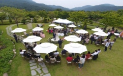 국립공원 숲 결혼식 기회 늘린다