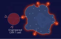 BMS 범용 고형종양 치료제 개발사 투자