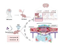 케이메디허브, 초음파 활용 뇌종양 개선기술 발표
