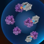 J&J 항암제 개발사 인수