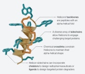 미 항암제 다수 신속심사