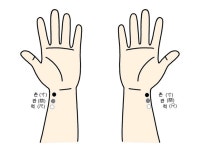 거자 침법, 통증 감소·관절 기능 개선 효과적