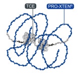 아스텔라스 전립선암 TCE 공동개발 제휴