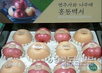 영주 명품 농특산물로 풍성한 한가위 보내세요