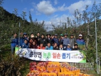 봉화 춘양면, 경운기 사고 사과농가 일손 도와