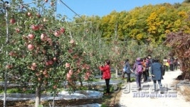 봉화 농산물 유통체계 신뢰도 향상