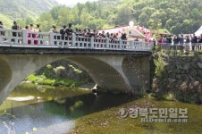 수달래香 흠뻑 젖은 계곡을 걸어보자