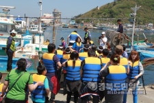 안경가자미 거북이 타고 영덕 축산항에 나타나다
