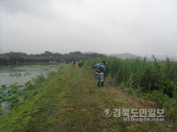 청도 용강지를 사랑하는 모임, 환경정비 실시