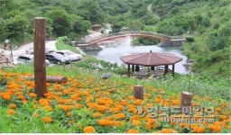 금봉자연휴양림 새단장