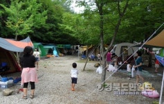 산림욕·해수욕·온천욕 즐기고…  솔바람길·숲체험길도 걸어보자