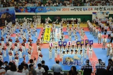 태권도인 독도수호 한마음 이얍~