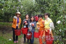 직접 수확하니 더 믿음가요