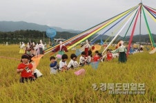 영덕 황금들녘서 추억 잡으세요