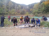 영덕 강구면사무소, 오포리 고추농가 일손돕기