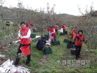 안동시의회, 과수농가 일손돕기 봉사활동