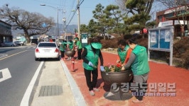 《고령》고령군, 봄 맞이 꽃단장