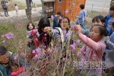 진달래 꽃전 신기해요~