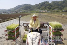 《상주》첫 모내기