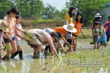 줄 맞춰 심자 … 오늘은 우리가 농부!