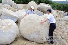 龍의 알?