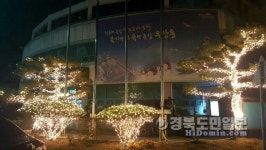 포항 우창동주민센터, 희망트리 설치