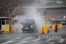 청도 소싸움 경기장, 구제역 차단 온힘