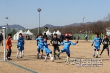 화랑유소년스포츠특구 경주, 동계훈련 최적지 각광