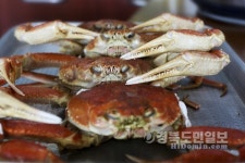 담백한 맛 일품 대게 즐기러 영덕으로 GO!