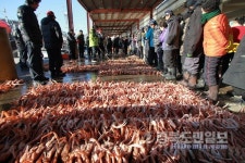 담백한 맛 일품 대게 즐기러 영덕으로 GO!