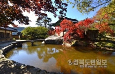 닭실마을서 시 한소절 뽑아보세