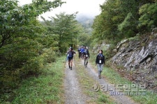 솔향기따라 봉화 외씨버선길 걸어보세나