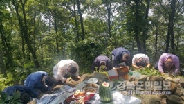 칠곡 동명면 송산3리 주민, 가뭄해소 기우제