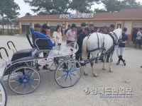 영천 운주산 승마조련센터서 국내 첫 마차교육