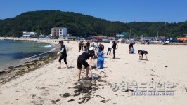 영덕 강구면, 하저해수욕장 환경정화 활동