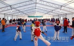 슛골·홈런·태권!… 경주선 多된다