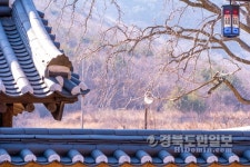 지친 마음 맑은 물에 씻어가세요