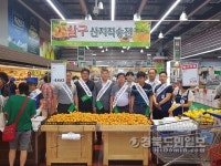 새콤달콤 영천살구 맛보세요