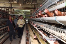 이철우 경북지사, 가축 폭염 피해 현장 방문