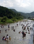 무더위 잊고 성주에서 여름 제대로 즐겨볼까