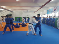 포항, 유도 전지훈련지 급부상