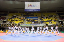 구미 폭염 녹인 태권도 열기 뜨거웠다