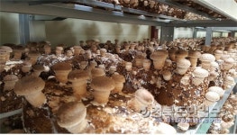 오늘 포항서 농축수산물 직거래장터 열린다