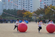 학생·학부모·교직원 하나된 포항대흥초 즐거운 가을운동회