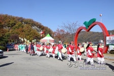 청송사과축제, 경북도 지정 최우수 축제