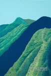 붓질로 켜켜이 쌓아올린 靑山