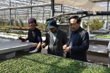 특수기능성 희귀채소로 6차 산업 성공 농업 이끌다