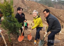 안동 전나무 1270본 식재